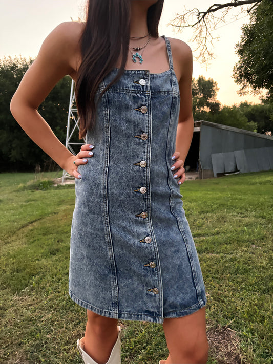 Dolly Denim Dress